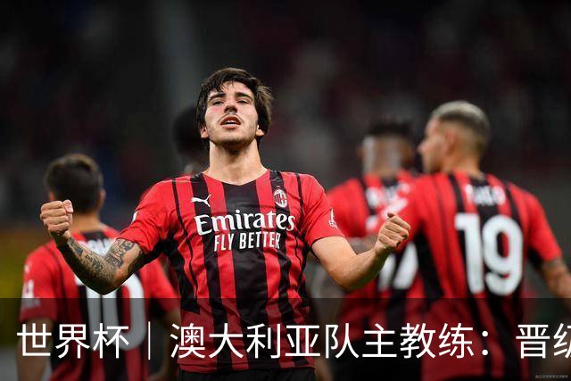 世界杯｜澳大利亚队主教练：晋级淘汰赛是我们应得的