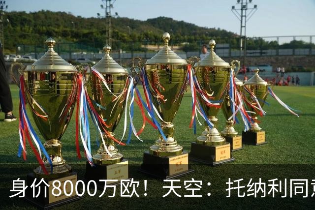 身价8000万欧！天空：托纳利同意加盟热刺！周薪超27.5万镑